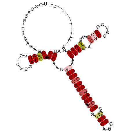 secondary structure