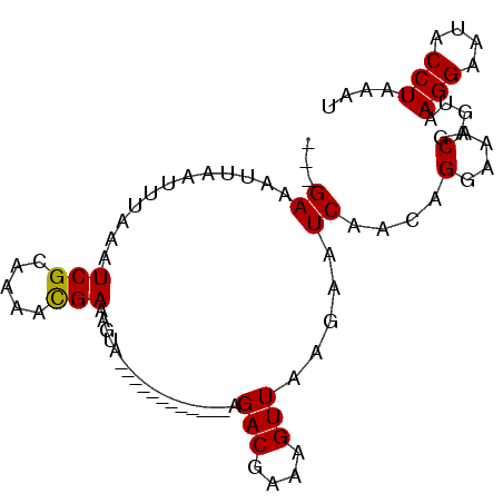 secondary structure
