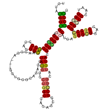 secondary structure
