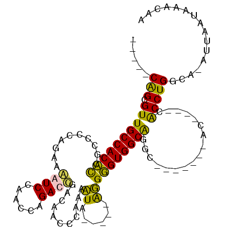 secondary structure