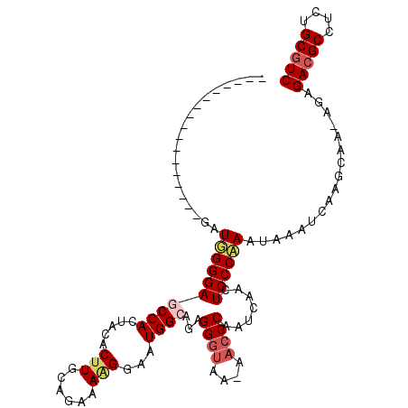 secondary structure