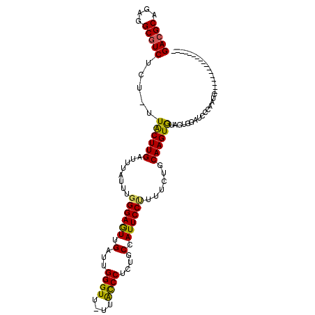 secondary structure