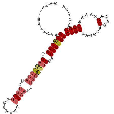 secondary structure