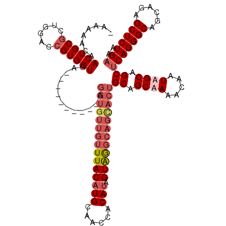 secondary structure