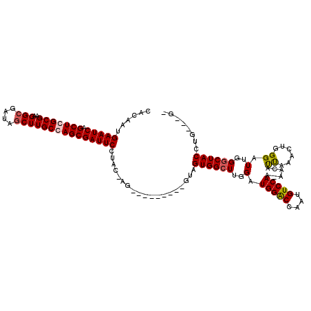 secondary structure