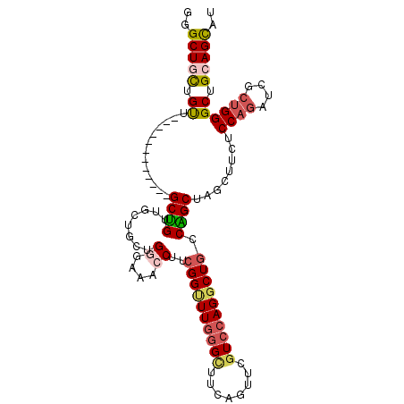 secondary structure