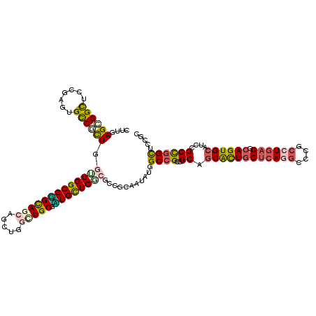 secondary structure
