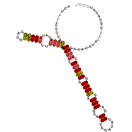 secondary structure
