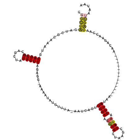 secondary structure