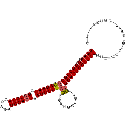 secondary structure