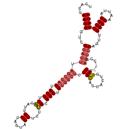 secondary structure