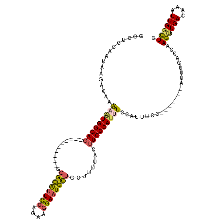 secondary structure