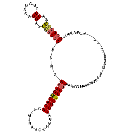 secondary structure
