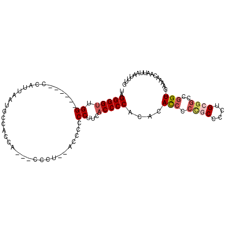 secondary structure