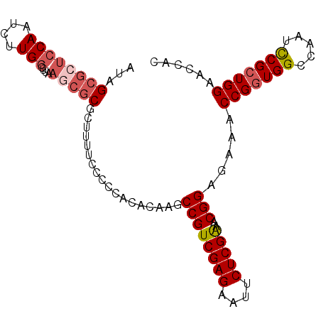 secondary structure