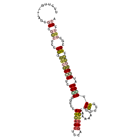 secondary structure