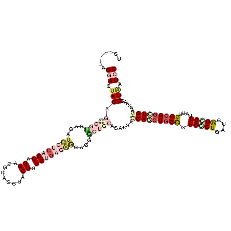 secondary structure