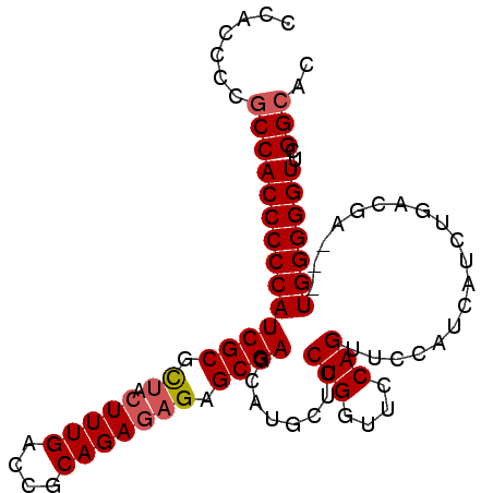 secondary structure