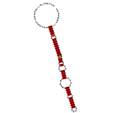 secondary structure