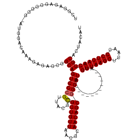 secondary structure