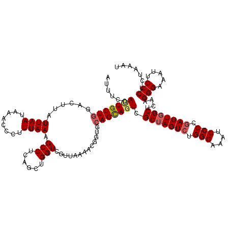 secondary structure