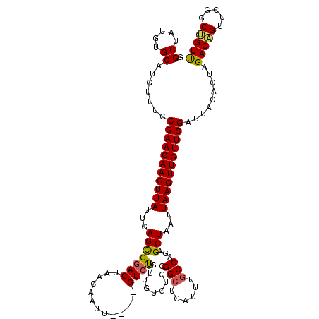secondary structure