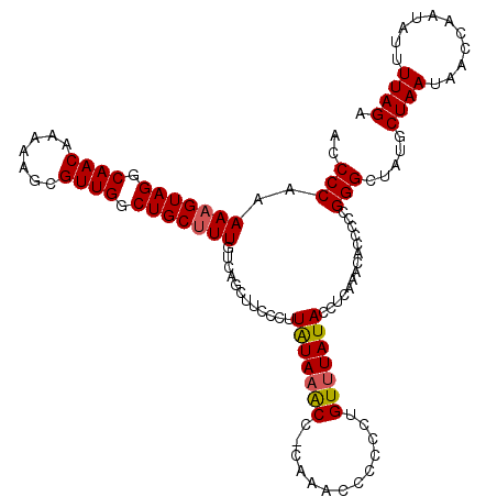 secondary structure