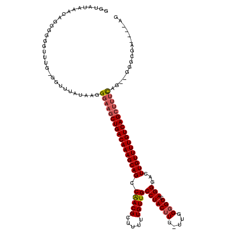 secondary structure