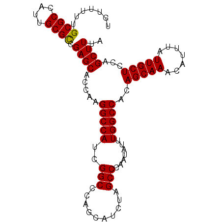 secondary structure