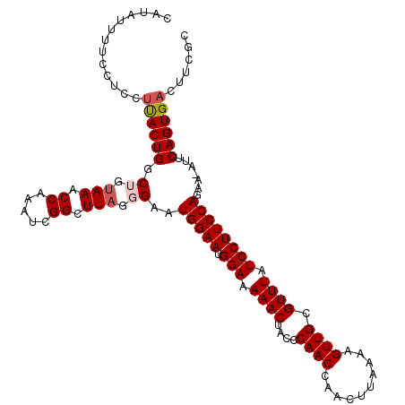 secondary structure