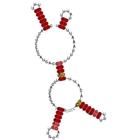 secondary structure