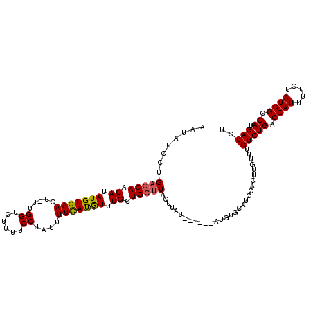 secondary structure