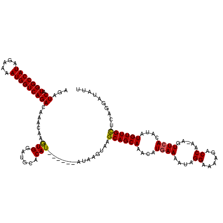 secondary structure