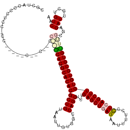 secondary structure