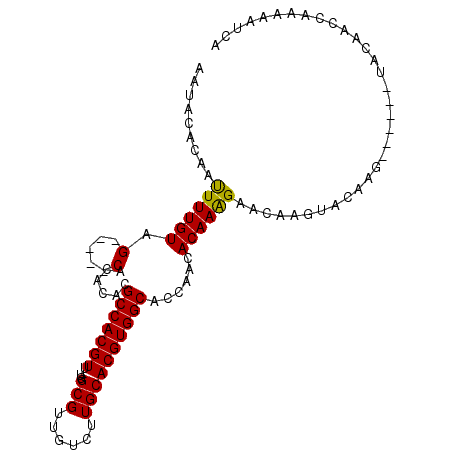 secondary structure