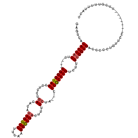secondary structure