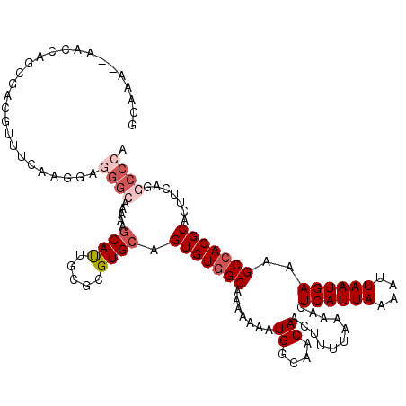 secondary structure