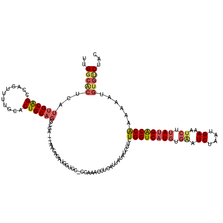 secondary structure