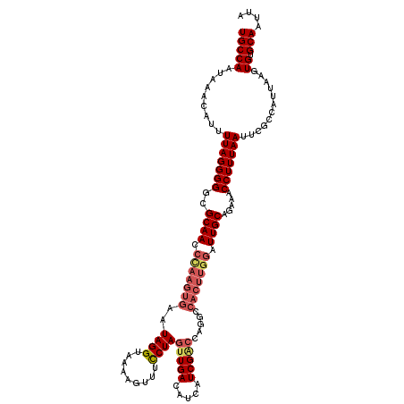 secondary structure