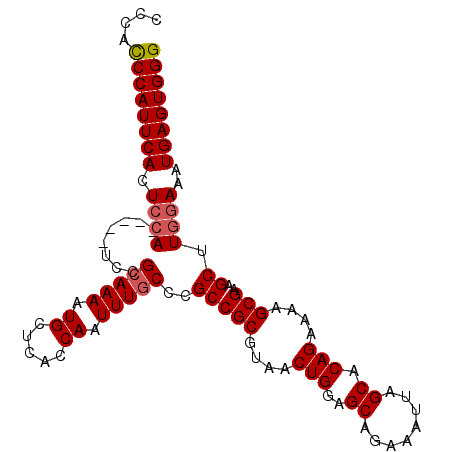 secondary structure