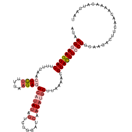 secondary structure