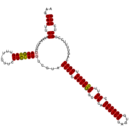 secondary structure