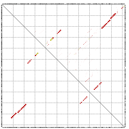 dotplot