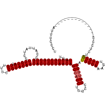 secondary structure