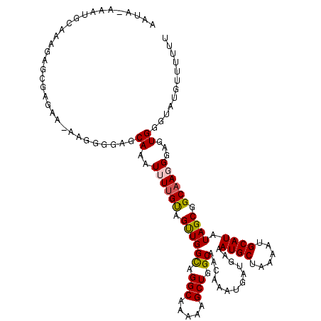 secondary structure