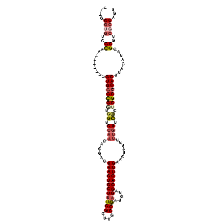 secondary structure