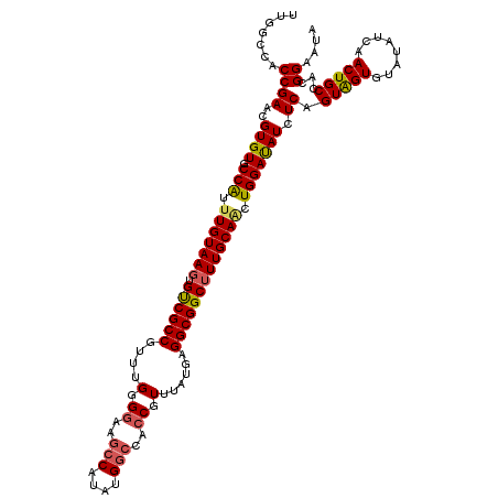 secondary structure