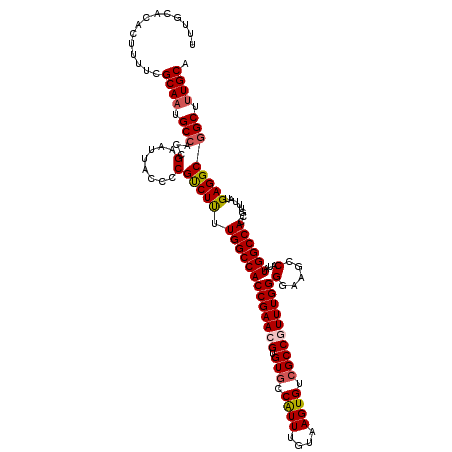 secondary structure
