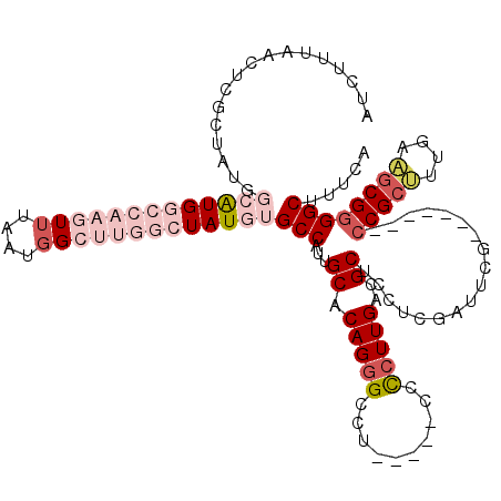 secondary structure