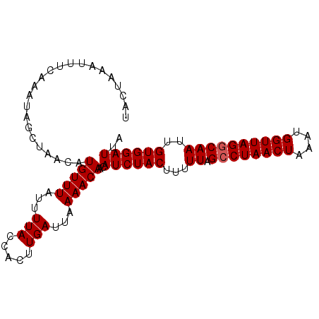 secondary structure